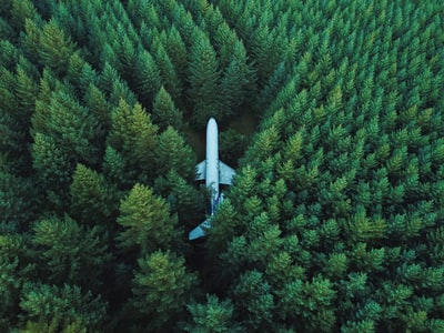 飞机停在树木环绕的地面上